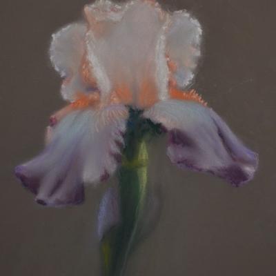 Pastel de Françoise Mazza